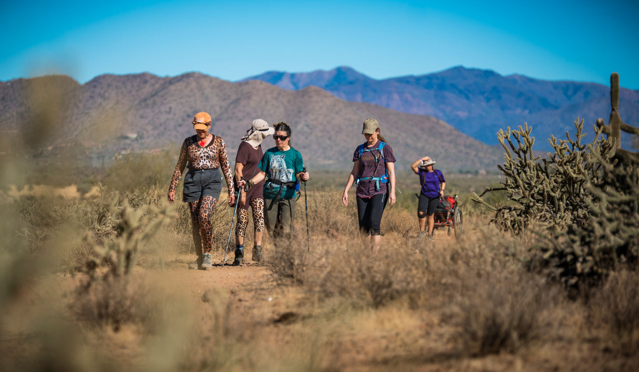 Hiking in Phoenix