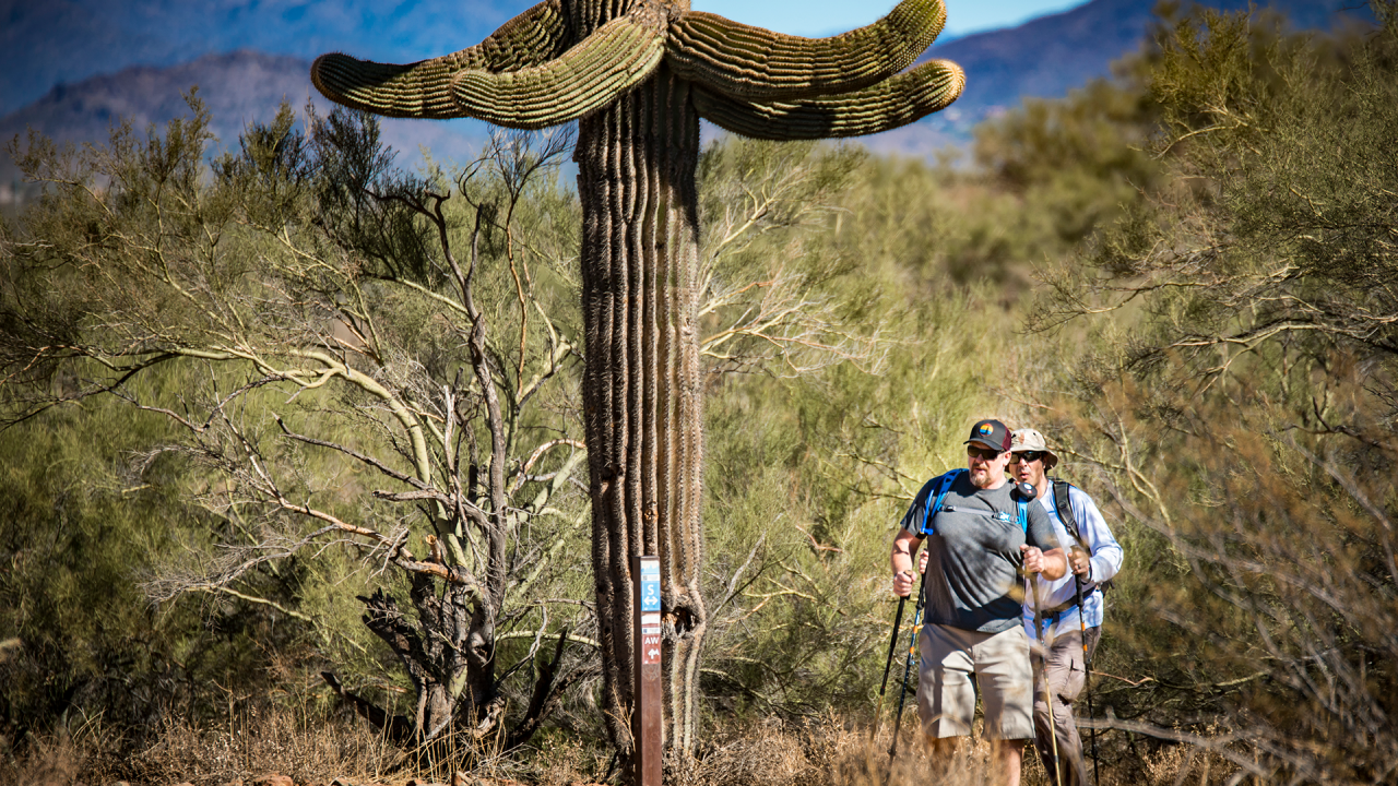 Hikers on a trail during an event.