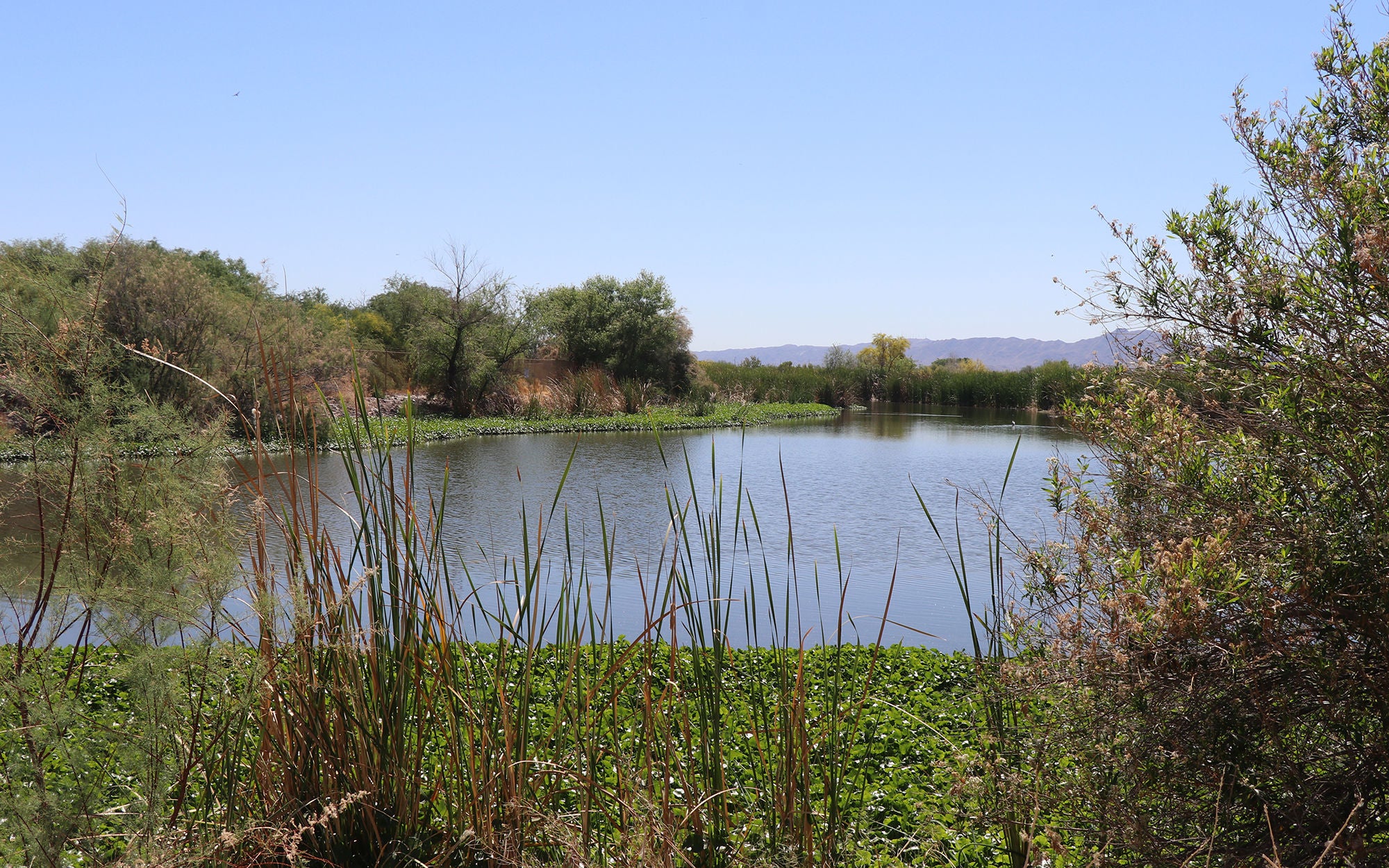 Tres Rios Image