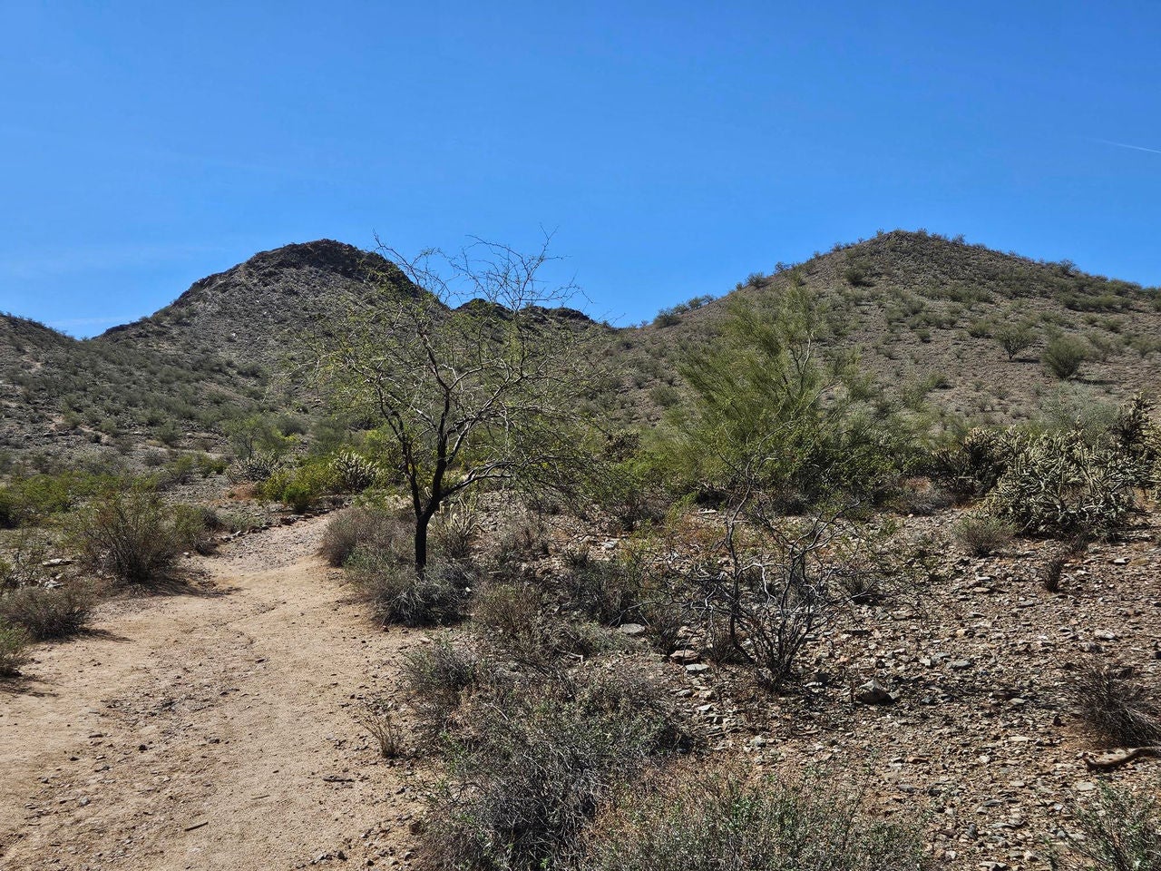 Lookout/Shadow Mountain