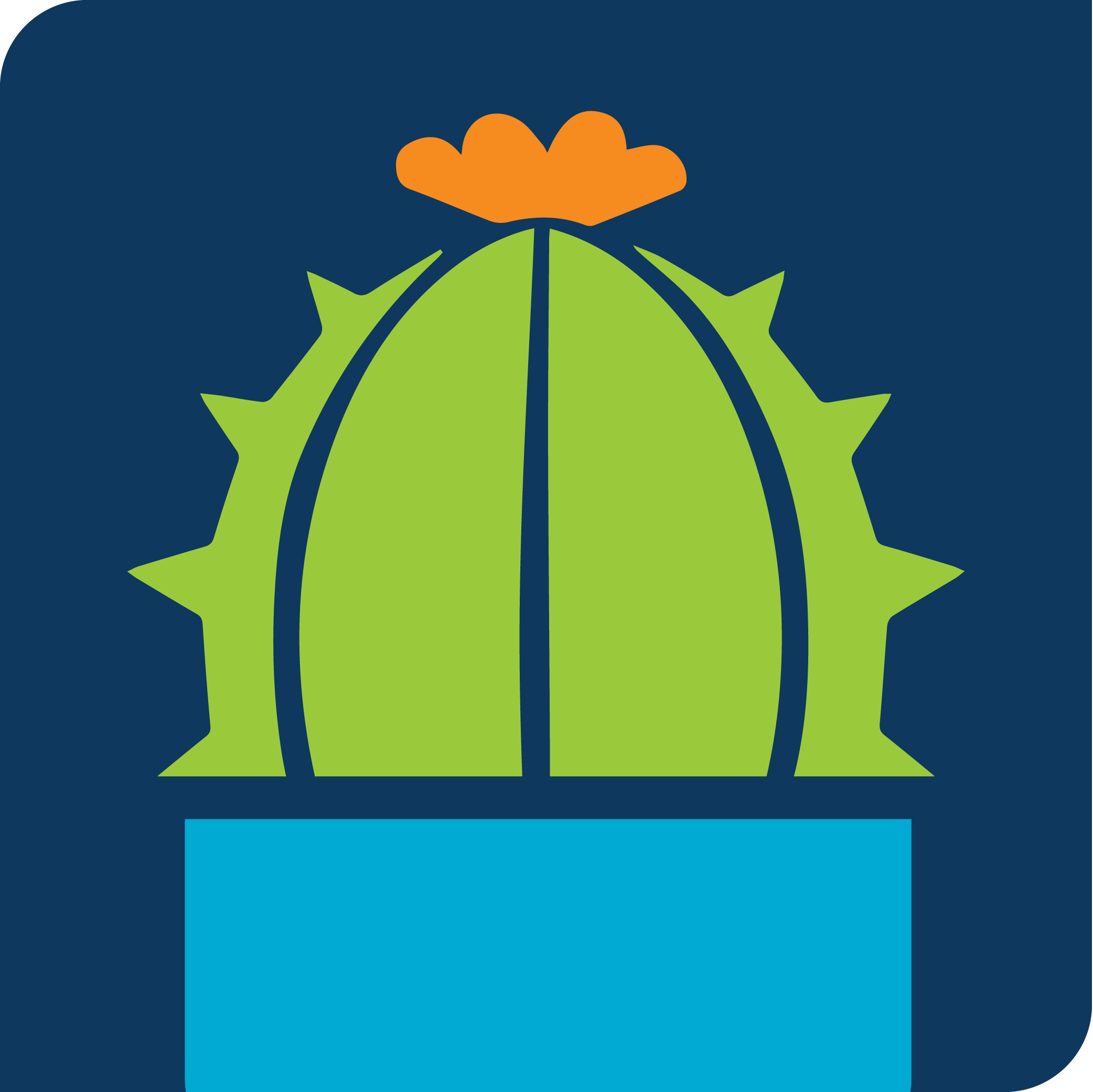 graphic of cactus 