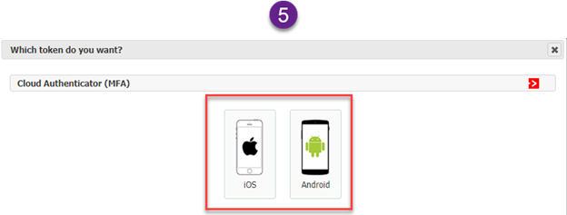 Replacement Phone Setup Instructions 5