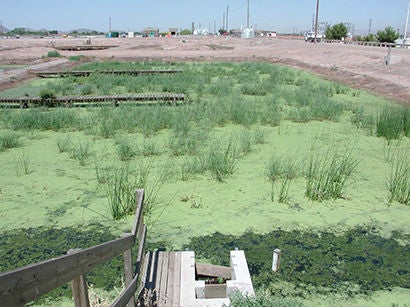 Tres Rios Test cells late 1990s