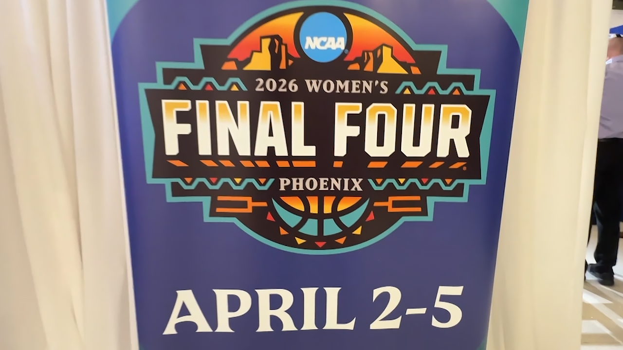 Concert goers enjoy the free festival-like event.