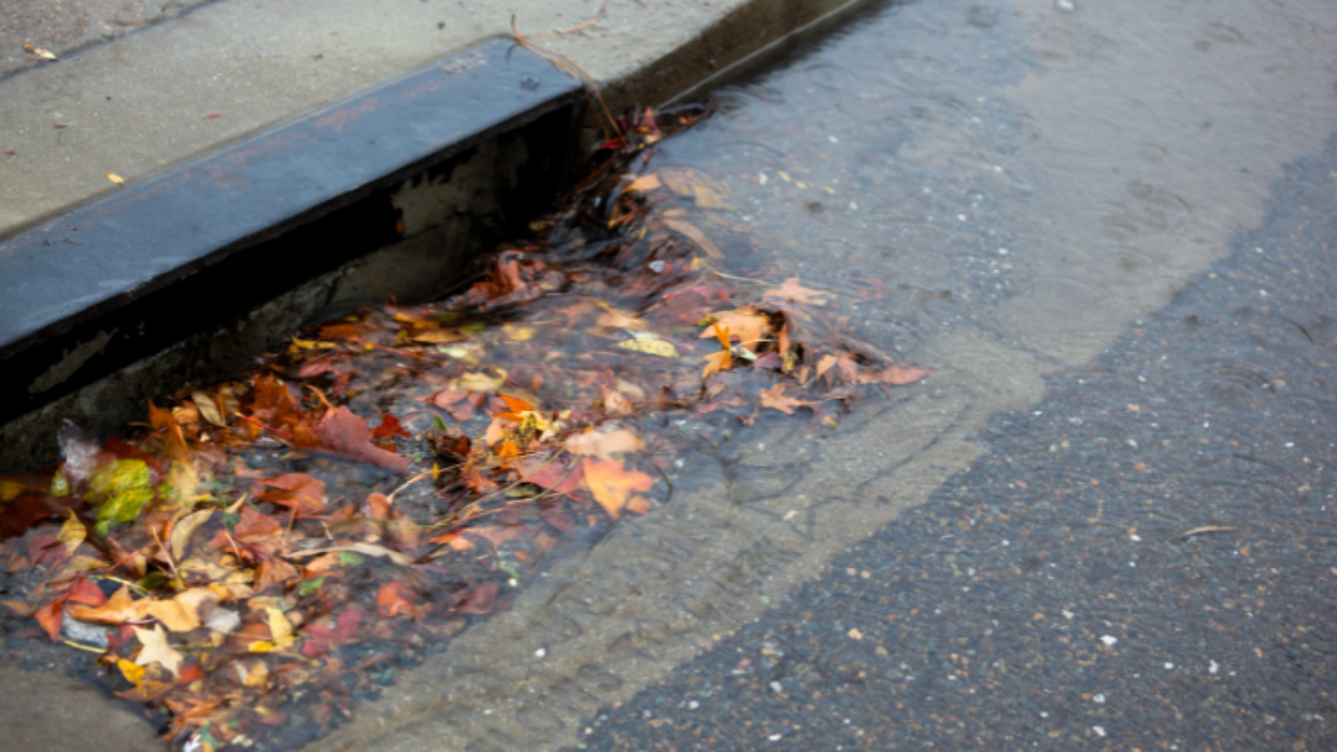 2025 Stormwater Awareness Week