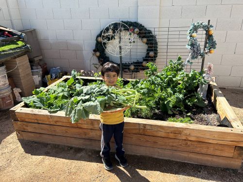 A little boy proudly displays his harvest while standing in front of a TMF garden bed.