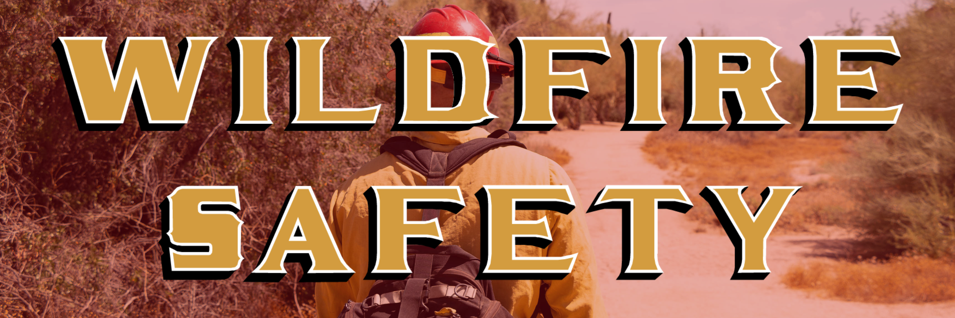 Wildfire Safety Banner