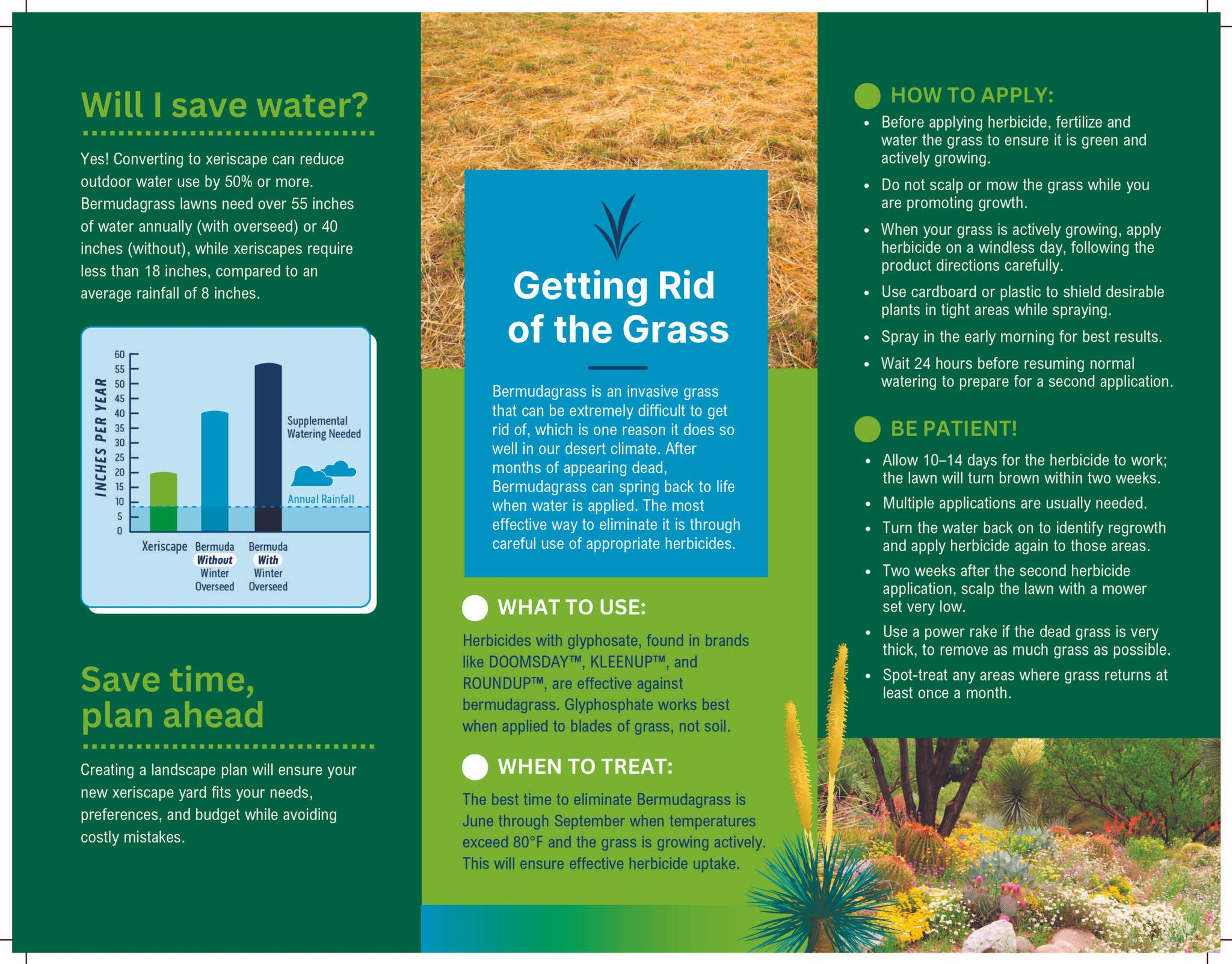 Grass removal brochure 2: How to replace your grass and enhance water savings