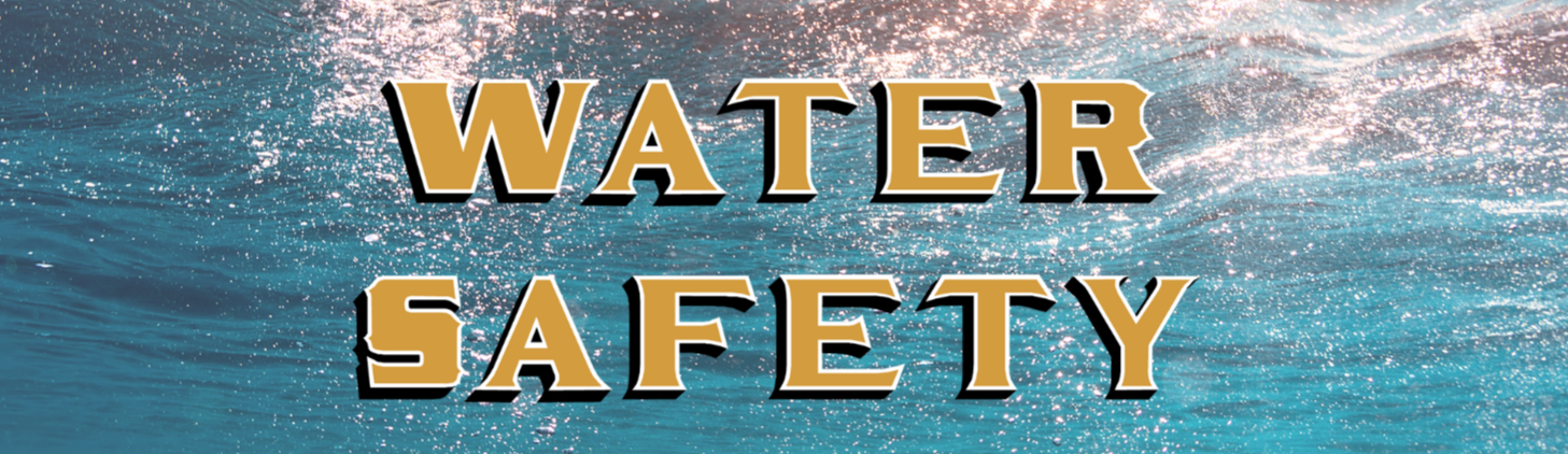 Water Safety Banner Logo