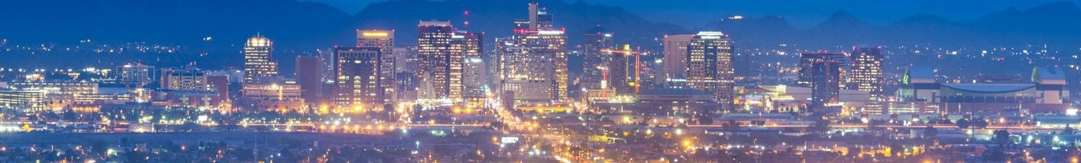 DWTN Strategic Plan Update - PHX Skyline.jpg