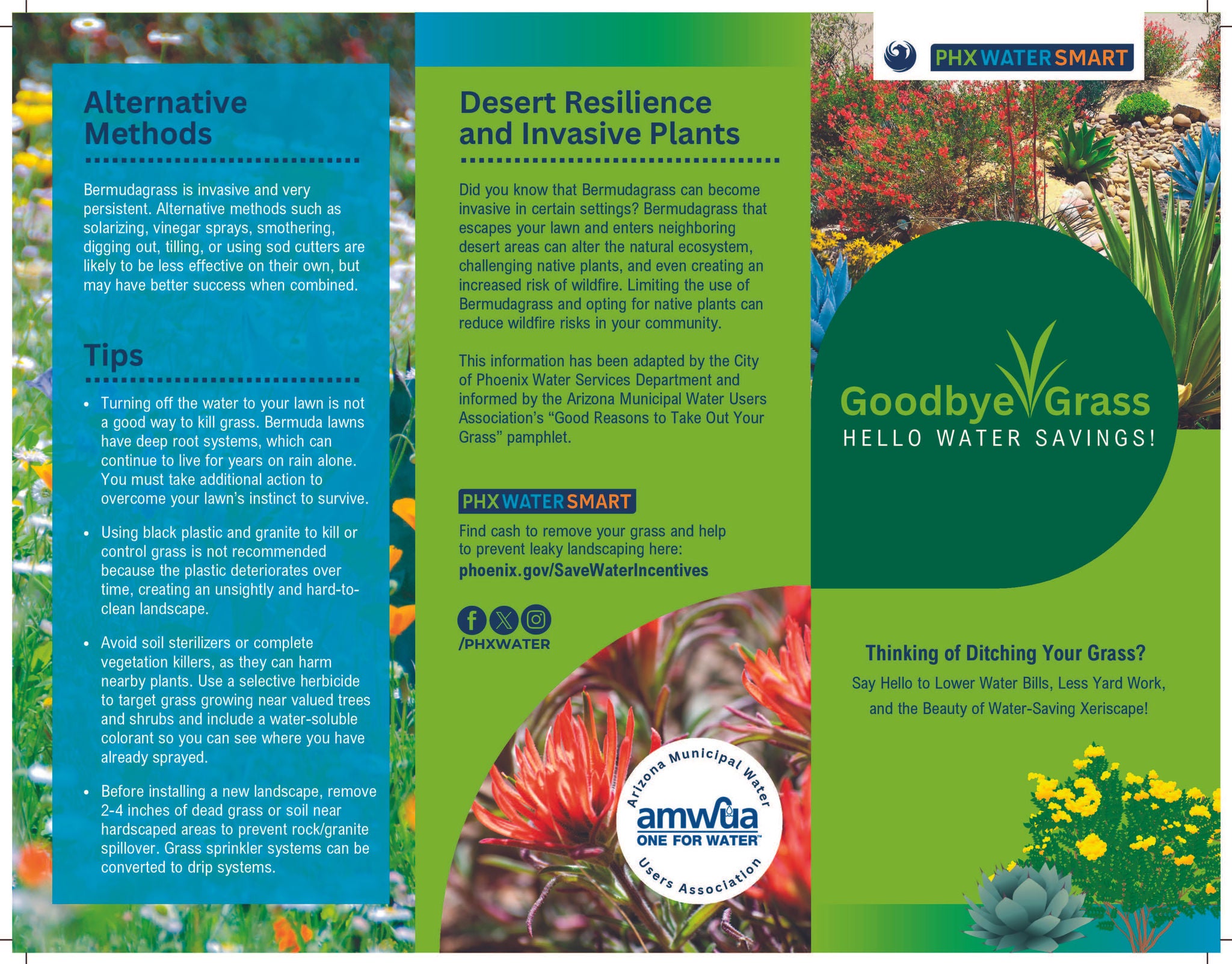 Grass removal brochure 1: How to replace your grass and enhance water savings