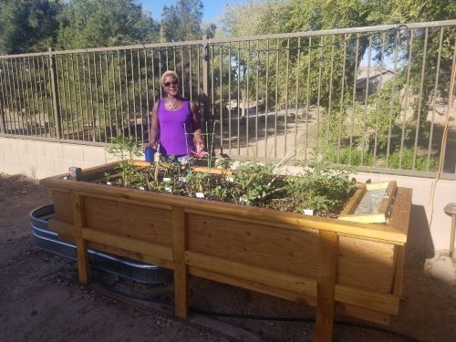 A program participant stands behind their Lehr garden system, which was planted in the spring