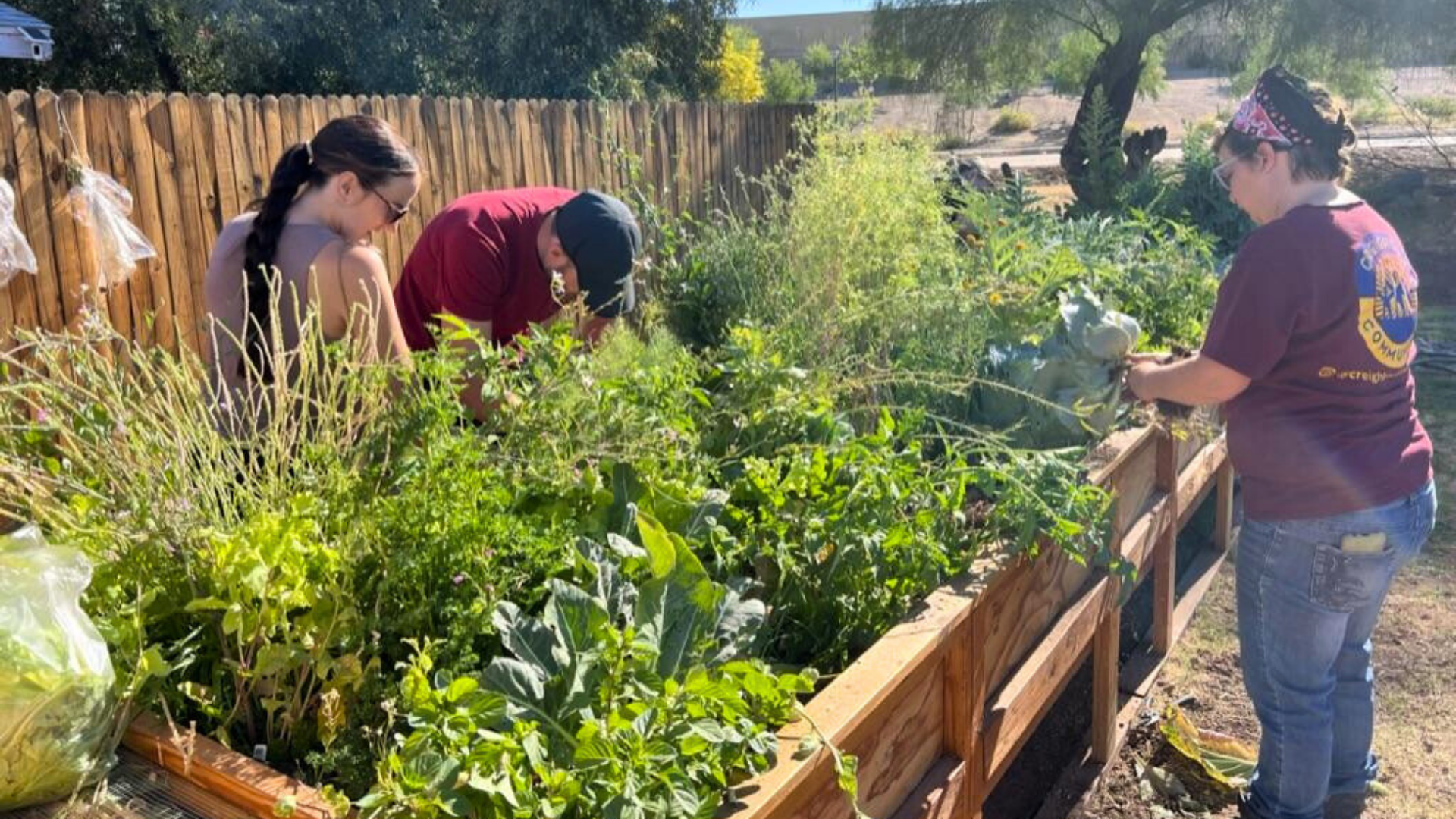 Three people tending to plants in a raised garden bed.