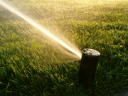 Lawn Pop Up Sprinkler
